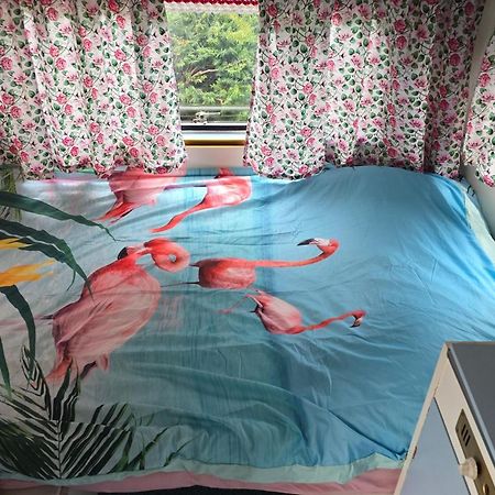 Balistyle Guesthouse Incl Hottub Near Amsterdam And Haarlem เวลเซน-เซิด ภายนอก รูปภาพ